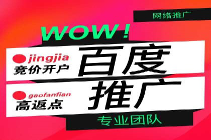 案例剖析：百度推广返点的应用与成效